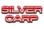 Silver Carp